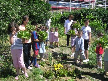 Convivencia ecológica de escolares en el Valle del Jerte.